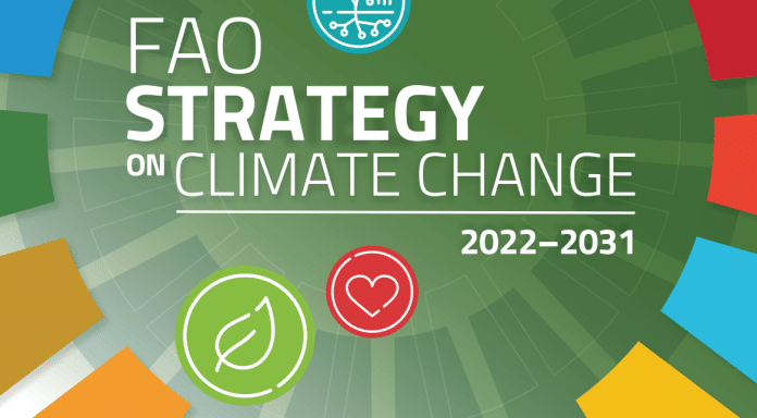COP28: FAO e Italia rafforzano la collaborazione sull’azione climatica in agricoltura