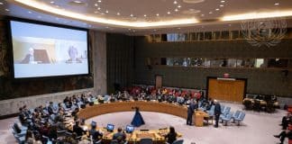 Briefing al Consiglio di Sicurezza delle Nazioni Unite sulla situazione umanitaria in Israele e nei Territori Palestinesi Occupati