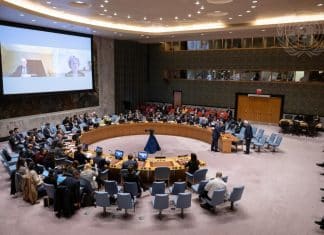 Briefing al Consiglio di Sicurezza delle Nazioni Unite sulla situazione umanitaria in Israele e nei Territori Palestinesi Occupati