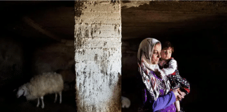 Gaza: Ogni giorno, sempre più persone si trovano sull'orlo di condizioni simili alla carestia