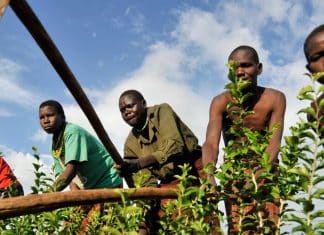 L'Italia aiuta il WFP a rafforzare la resilienza degli agricoltori in Mozambico