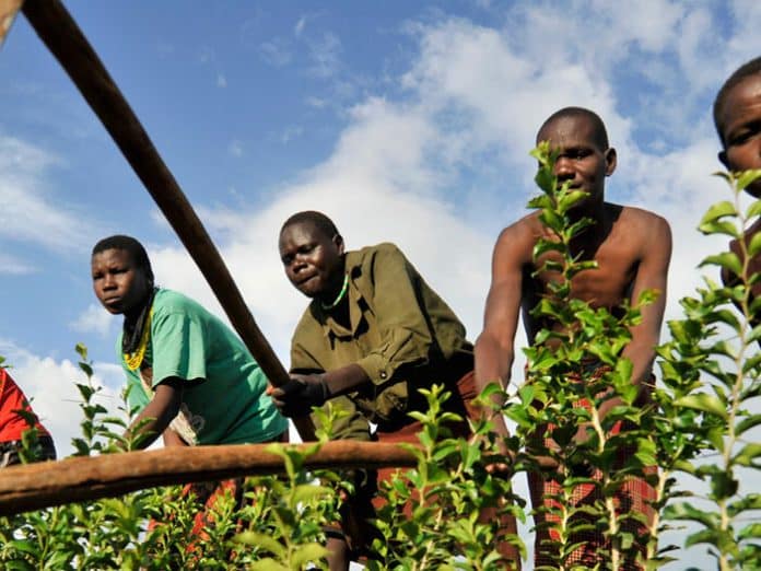 L'Italia aiuta il WFP a rafforzare la resilienza degli agricoltori in Mozambico
