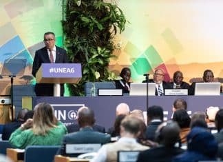 L'UNEA-6 accende i riflettori sul multilateralismo ambientale