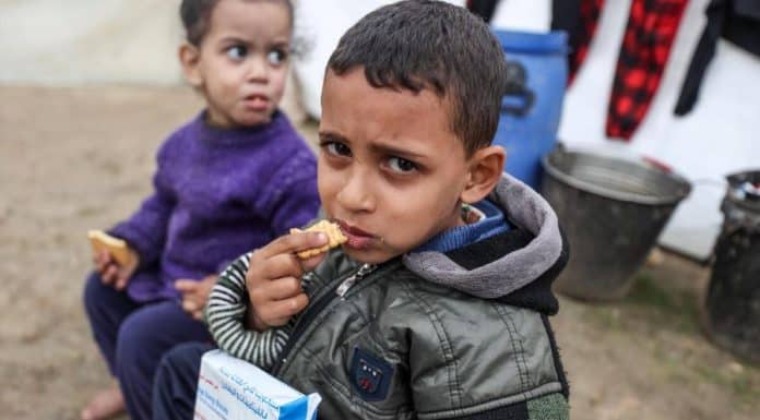 Carestia imminente nel nord di Gaza, avverte un nuovo rapporto