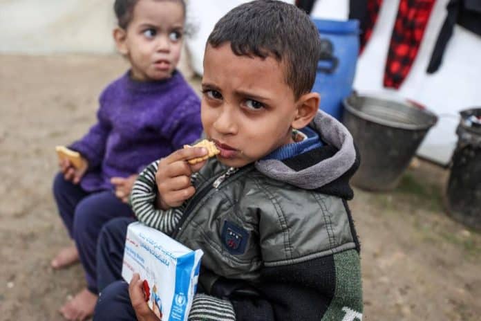 Carestia imminente nel nord di Gaza, avverte un nuovo rapporto