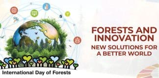 Giornata internazionale delle foreste 2024 soluzioni innovative e trasversali per un mondo migliore