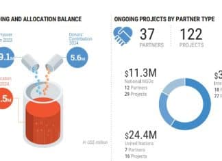 Fondo umanitario per gli aiuti ai Territori Palestinesi - Infografica