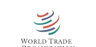 L'OMC lancia l'invito a candidarsi per il Programma Giovani Professionisti 2025