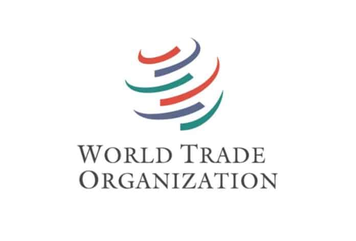 L'OMC lancia l'invito a candidarsi per il Programma Giovani Professionisti 2025