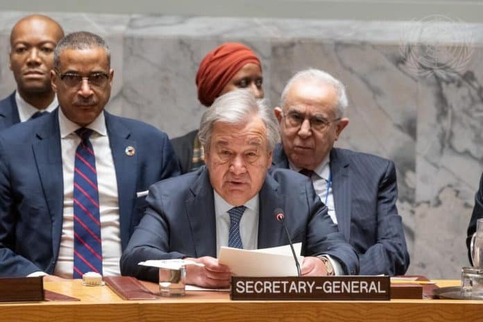 Osservazioni del Segretario generale delle Nazioni Unite al Consiglio di sicurezza - sul Sudan