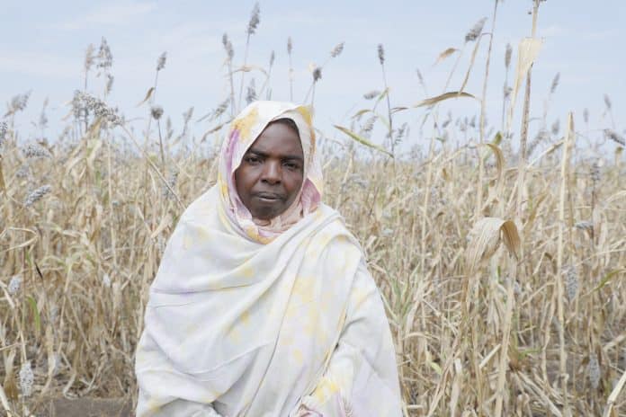 Quasi 18 milioni di persone in Sudan stanno affrontando una grave insicurezza alimentare - il numero più alto mai registrato durante una stagione di raccolto.
