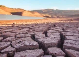 I cambiamenti climatici stanno contribuendo a creare condizioni di siccità in tutto il mondo.