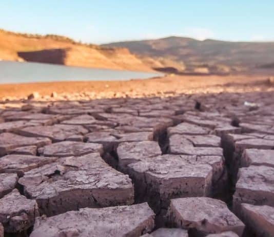 I cambiamenti climatici stanno contribuendo a creare condizioni di siccità in tutto il mondo.
