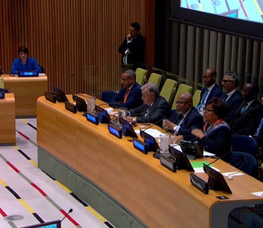 Il Segretario Generale - Osservazioni alla riunione plenaria informale dell'Assemblea Generale sulla Sicurezza Umana