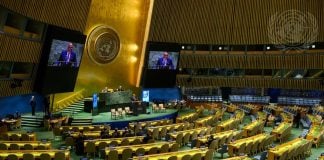 Lo status della Palestina all'ONU.