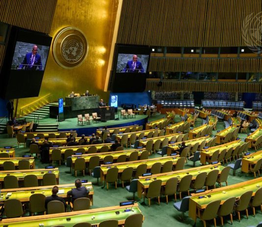 Lo status della Palestina all'ONU.