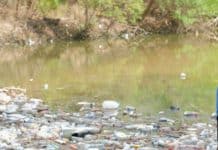 Rifiuti di plastica sul fiume Maraval, Trinidad.