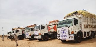 Sudan. 16 camion con 579 tonnellate di merci hanno attraversato il confine da Tine (Ciad) al Nord Darfur (Sudan).