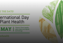 La FAO pone l'accento sull'importanza della tecnologia in occasione della Giornata internazionale della salute delle piante