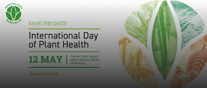 La FAO pone l'accento sull'importanza della tecnologia in occasione della Giornata internazionale della salute delle piante