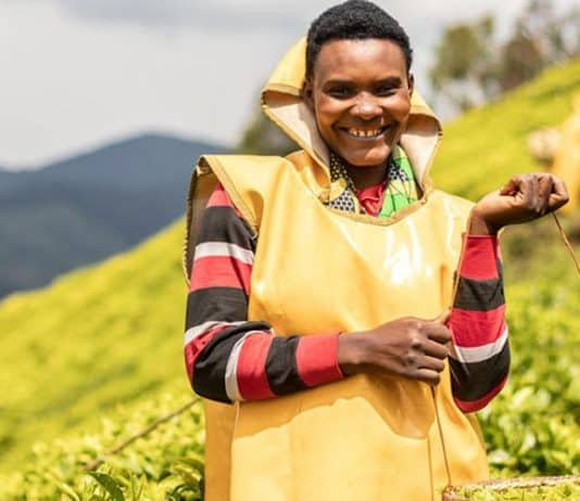 In alta montagna, nella provincia occidentale del Ruanda, Josephine Nyirakarenga lavora in una piantagione di tè in una delle zone più difficili da raggiungere, a 2.400 metri sul livello del mare.