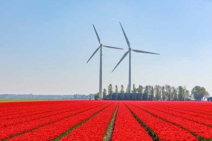 Lelystad-veld-windturbine