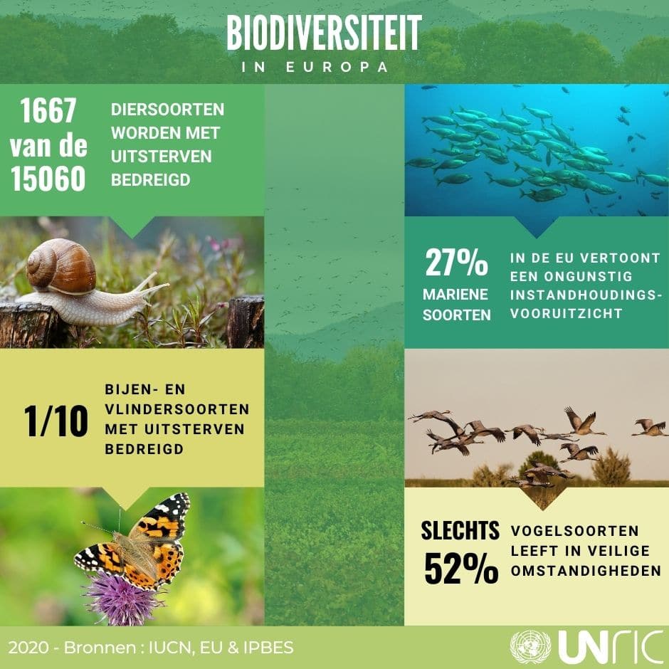 Biodiversiteit in Europa