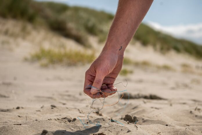 Plastic wordt opgeruimd tijdens de Beach CLeanup in Nederland © Paula Romein