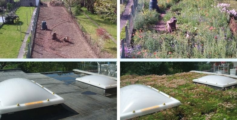 Voor- en nafoto's van de tuin en het dak van Marc Peeters
