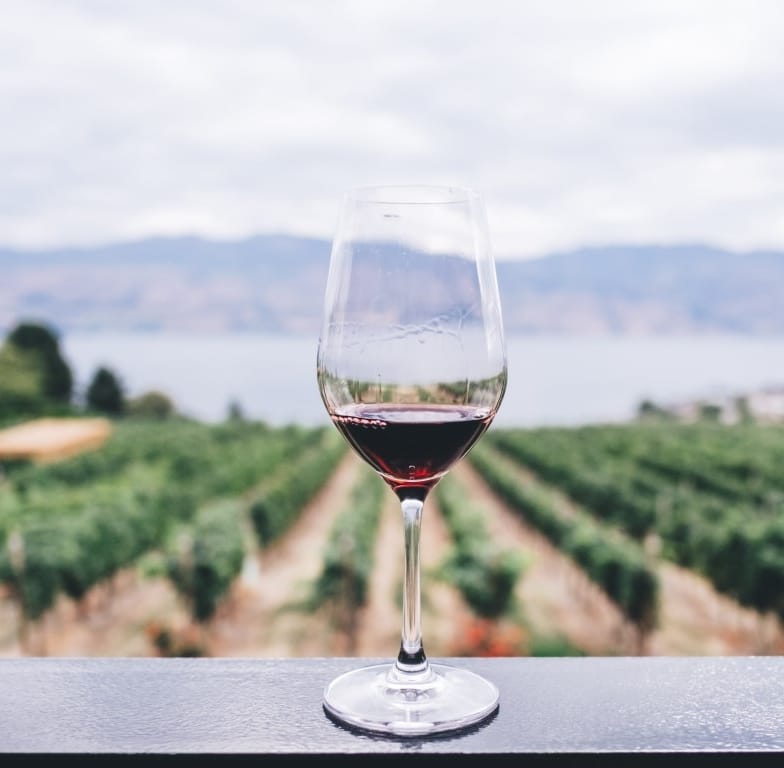 Wine-wineyard-sustainability