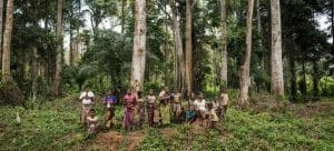 Kongo-urfolk-skog-urskog
