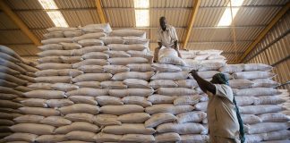 Dez camiões do Programa Mundial de Alimentos (WFP), com dois contentores cada, viajaram até à cidade de Shangil Tobaya, no Sudão, para entregar 350 toneladas de alimentos nos campos de deslocados internos da zona. Foto: ONU/Albert González Farran