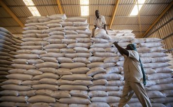Dez camiões do Programa Mundial de Alimentos (WFP), com dois contentores cada, viajaram até à cidade de Shangil Tobaya, no Sudão, para entregar 350 toneladas de alimentos nos campos de deslocados internos da zona. Foto: ONU/Albert González Farran