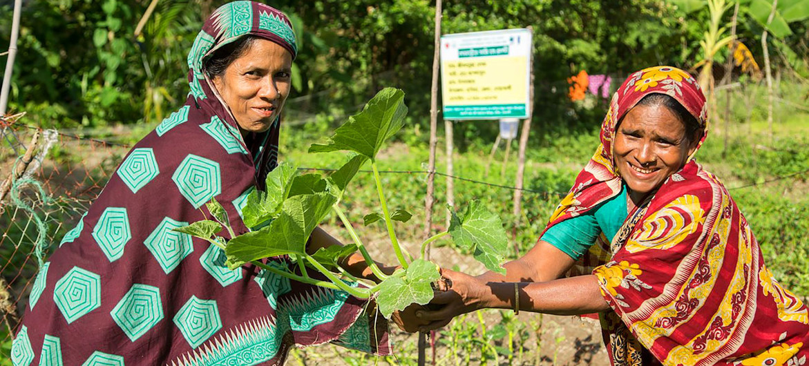 Mulheres em Bangladesh participam da agricultura resiliente ao clima.