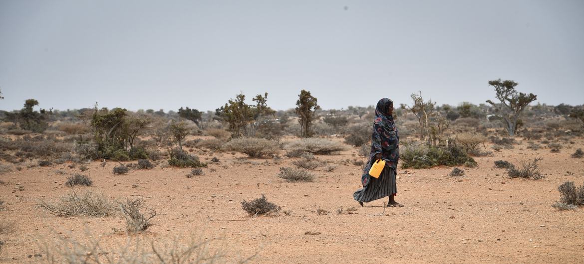 Mulher caminha até um ponto de transporte de água na Somália