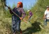 Ekonomisk utveckling: Mongolisk bonde arbetar i fält