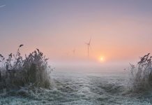 Ett fruset och dimmigt fält belyst av morgonsol där vindkraftverk som syns på långt avstånd