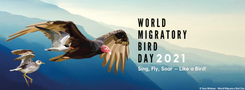 Världsdagen för flyttfåglar