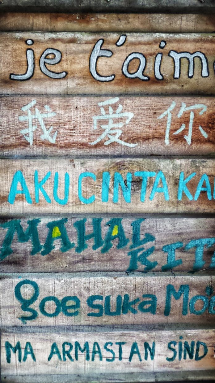 Olika språk skrivna i färg på en vägg