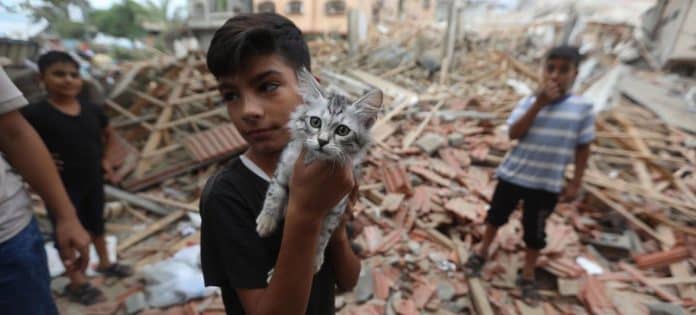 En pojke håller upp en kattunge i ruinerna av en stad.