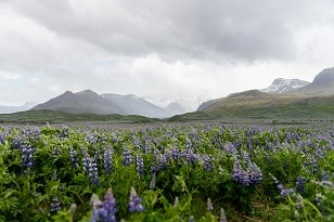 En vy från natur på Island
